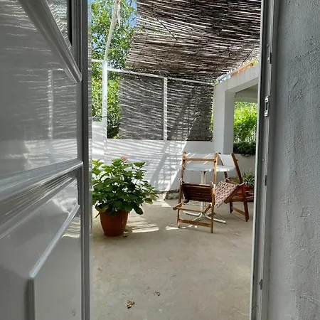 Apartamento Tree *
